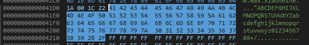 byte_41D4